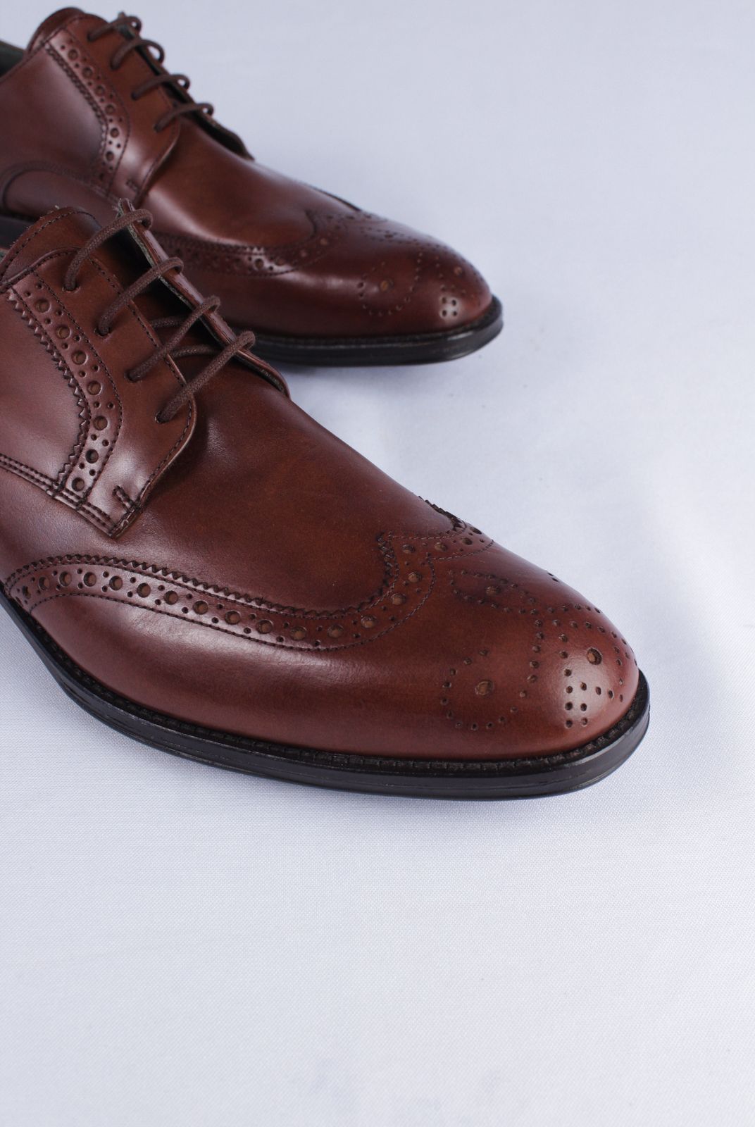 3150 - Sapato Masculino Napa Romana Conhaque Derby brogue