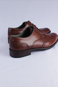 Sapato Masculino Napa Romana Conhaque Derby brogue