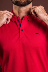 POLO NEW COLLECTION