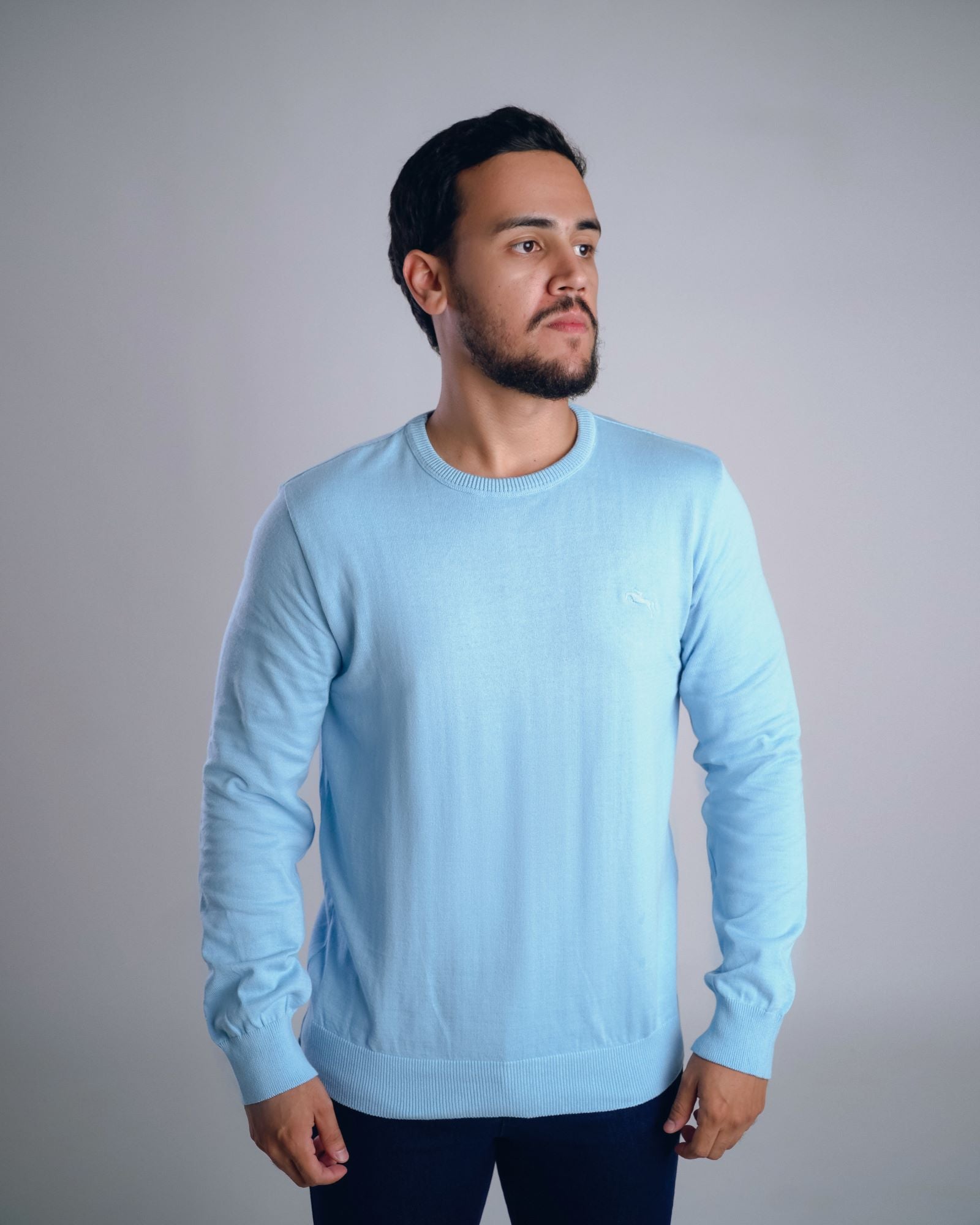 2993 - Trico Sueter Sport Liso Slim
