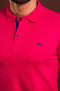 POLO NEW COLLECTION
